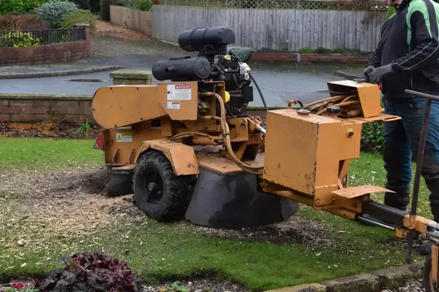 Is Tree Stump Grinding Necessary After Tree Removal Overland Park, KS Is Tree Stump Grinding Necessary After Tree Removal Overland Park, KS