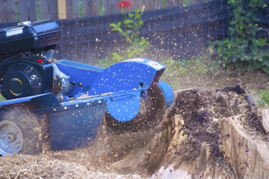 Reputable Tree Stump Grinding Overland Park, KS Reputable Tree Stump Grinding Overland Park, KS