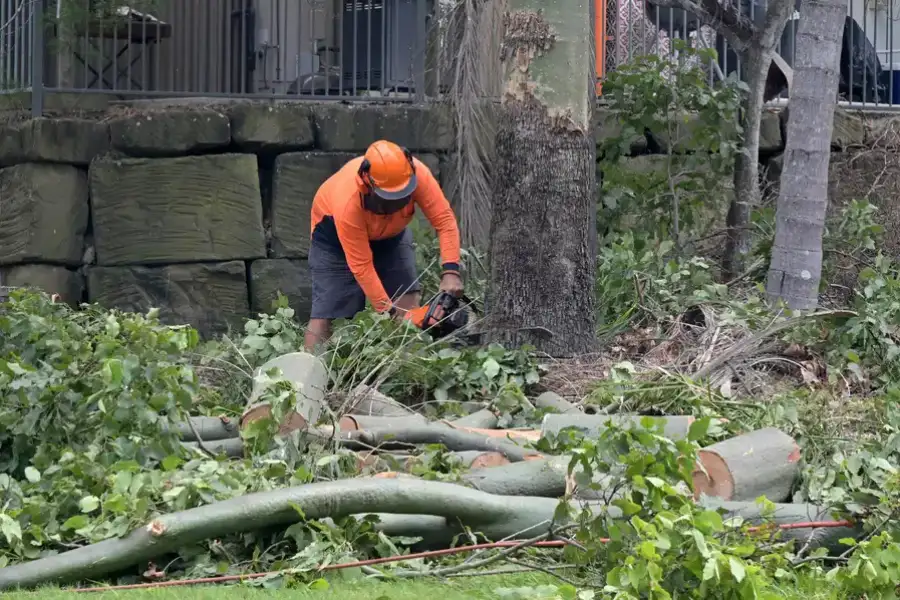 Superior Tree Removal Service Overland Park, KS Superior Tree Removal Service Overland Park, KS