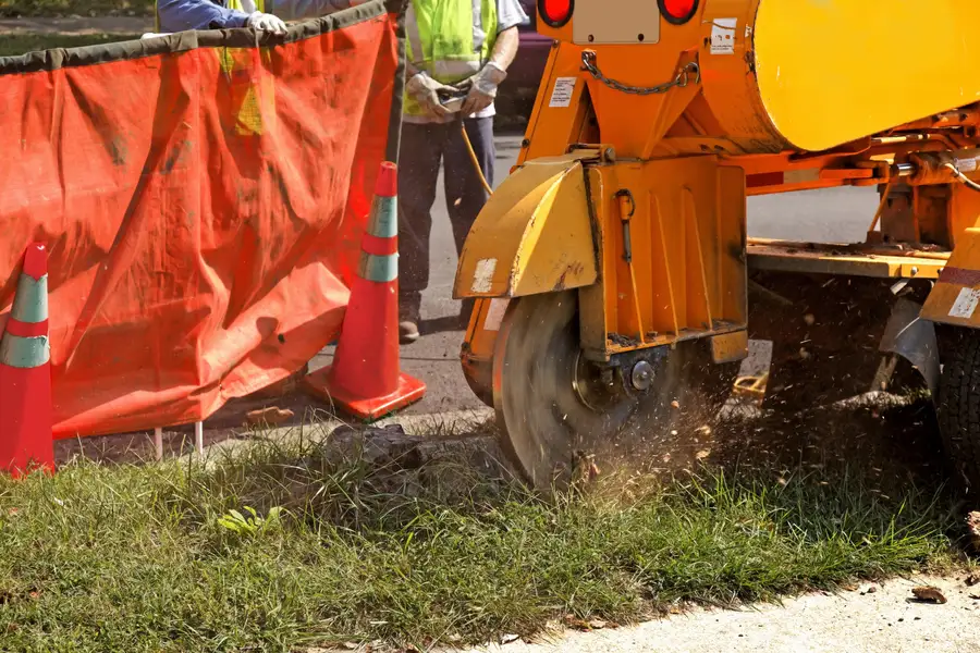 Top-rated Tree Stump Grinding Overland Park, KS Top-rated Tree Stump Grinding Overland Park, KS